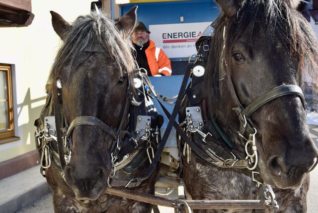 Foto: Sabine Lienbacher