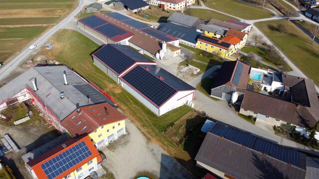 Foto: LK NÖ/Anna Gindl