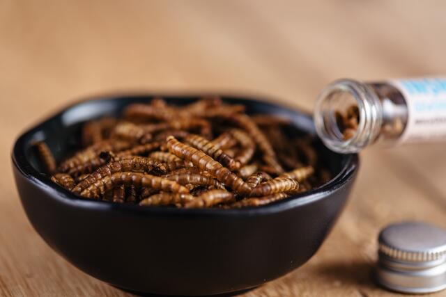 Insekten könnten mit ihrem hohen Proteinanteil und anderen Vorteilen ein fixer Bestandteil der Lebensmittelwelt werden.  | Foto: Rene Knabl