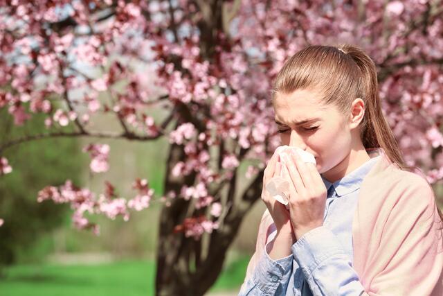 Bei Heuschnupfen handelt es sich um eine Allergie gegen Pflanzenpollen. Das Immunsystem bekämpft eigentlich harmlosen Blütenstaub von Bäumen wie Hasel, Erle, Birke, von Gräsern oder Kräutern. Symptome wie Fließschnupfen, Niesen, juckende und tränende Augen könne auf eine Pollenallergie hindeuten.  | Foto: stock.adobe.com/Africa Studio