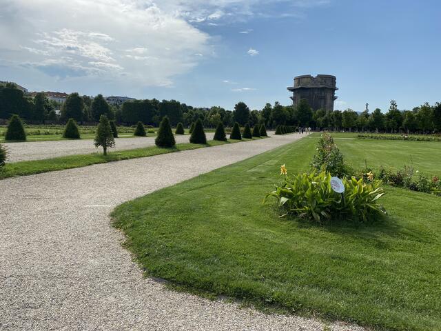 Es gibt auch kontrollierte Fällungen im Augarten. Rund drei bis vier Prozent der Bäume wird jährlich ein Ende bereitet. | Foto: Kathrin Klemm