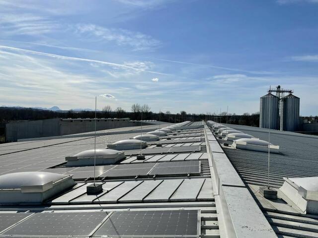 Gerüstet für die Zukunft – der Ausbau von Photovoltaik soll weiter vorangetrieben werden.  | Foto: Fuchshuber