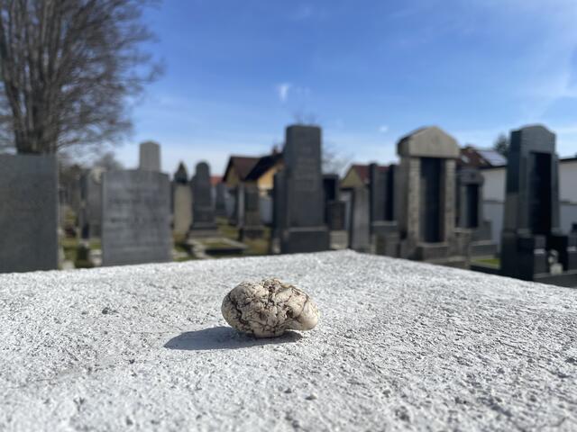 Der Jüdische Friedhof als Ort der Erinnerung. | Foto: Daniel Schmidt