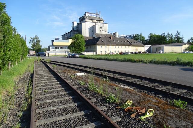 Gelebte Nachhaltigkeit – schon seit den frühen 1990er-Jahren wickelt Fuchshuber einen gewichtigen Teil des Gütertransports per Bahn ab.  | Foto: Fuchshuber