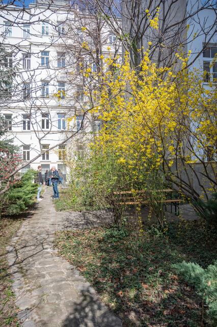 Die rund 800 Quadratmeter Grünraum in der Josefstadt sind von einem geplanten Bauprojekt bedroht. | Foto: Rene Brunhölzl