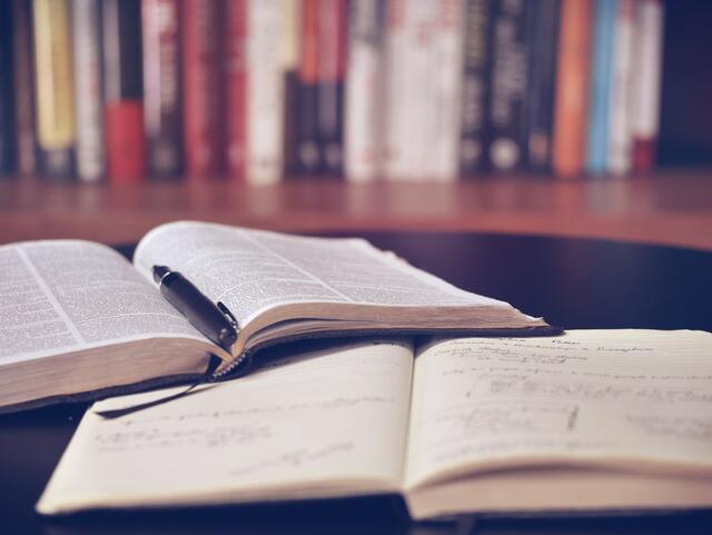 Aus der Idee eines zweiseitigen Folders wurde eine über 170-seitige Studie, an der sich zahlreiche wissenschaftliche und fachliche Institutionen beteiligten sowie Fischereivereine, Expertinnen und Experten auf regionaler Ebene. | Foto:  lil_foot_/Pixabay
