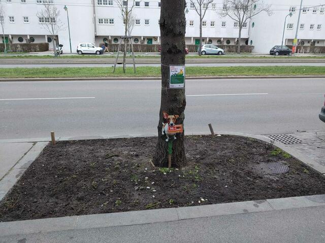 Foto: Privat