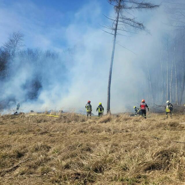 Die Feuerwehr stand zwei Stunden bei einem Waldbrandeinsatz. | Foto: FF Tulbing