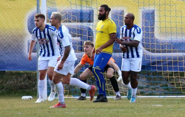 Den Ball im Fokus. | Foto: Schwaighofer