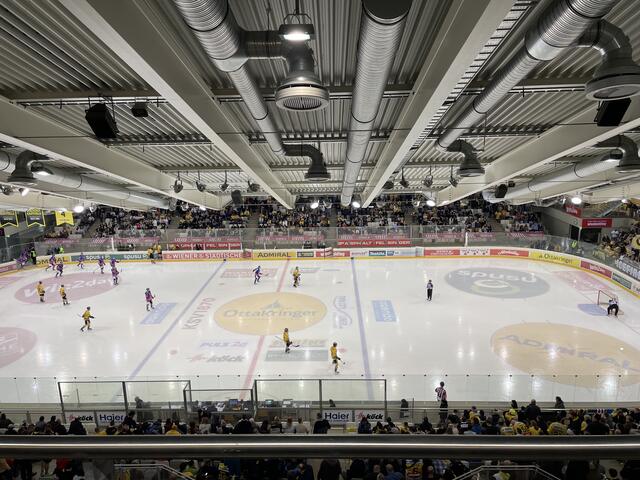 In der Steffl Arena laufen wieder die Kufen heiß. | Foto: Al Kafur