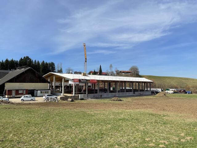 Bei Leimüller Lärchenholz wird gerade die große PV-Anlage installiert. | Foto: Philip Steiner