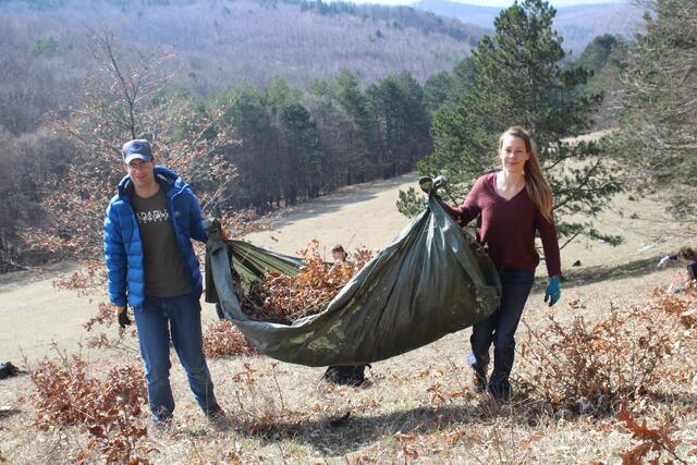 Das Pflanzenmaterial wurde auf Planen gesammelt und von der Fläche transportiert. | Foto: LPV/Hohn