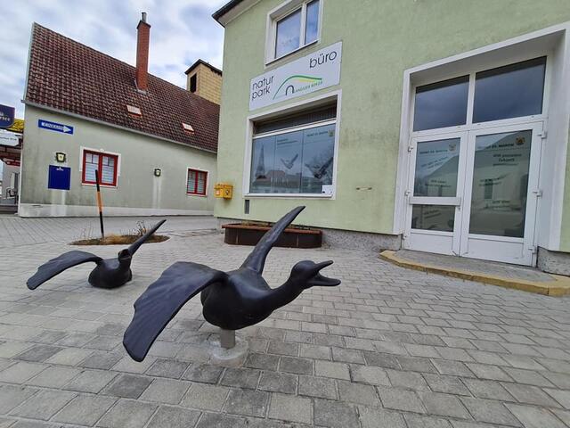 Die Gänse des Künstlers Peter Lehner | Foto: Otto Krcal