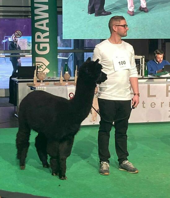 Georg Jenewein und seine Tiere waren im Februar erstmals bei der World Expo in Graz dabei  | Foto: Georg Jenewein 
