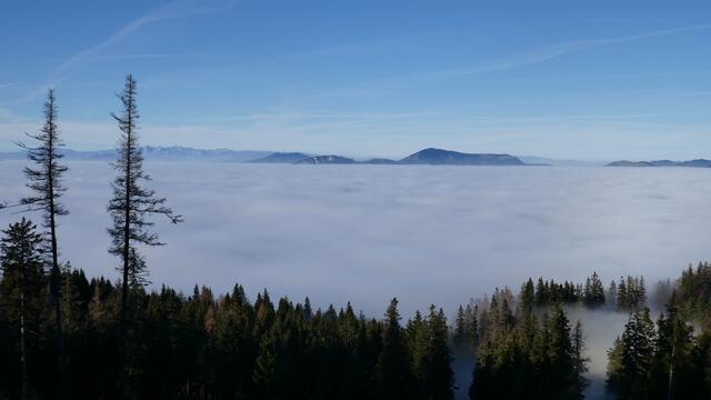 Sonne am Schöckl, Hochnebel im Passailer Becken | Foto: Poetz