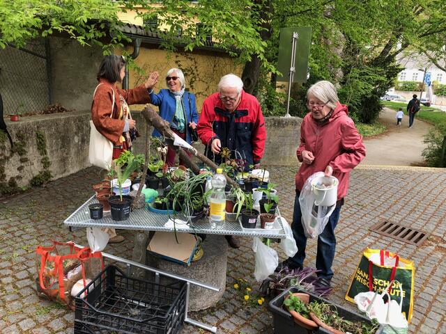 Beim Pflanzentauschstand werden auch botanische Tipps und Tricks ausgetauscht. | Foto: Pfarre Währing