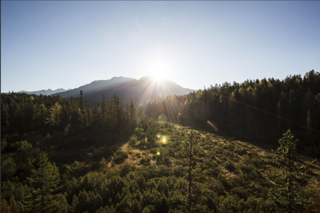 Das Piller Moor steht im Fokus der Revitalisierungsmaßnahmen und liefert Daten für weitere Projekte an anderen Morrstandorten. | Foto: Naturpark kaunergrat