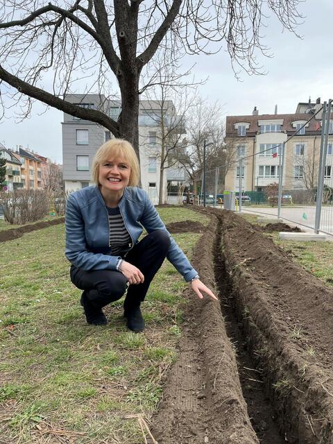 Bezirksvorsteherin Silke Kobald (ÖVP) zeigt den Leitungsverlauf für die neue Bewässerungsanlage, die die Vitalität der Bäume und Sträucher nachhaltig steigern soll. | Foto: BV Hietzing
