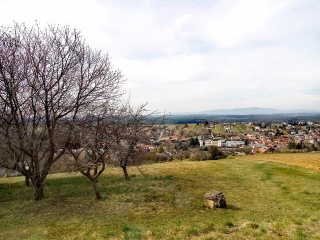 Blick vom Wasserbehälter auf Oberschützen - im Hintergrund der Masenberg