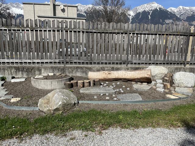 Im Biotop fühlen sich Bienen und Wespen wohl und sorgen dafür, dass die Wiesen des Friedhofs erblühen.  | Foto: Lisa Kropiunig