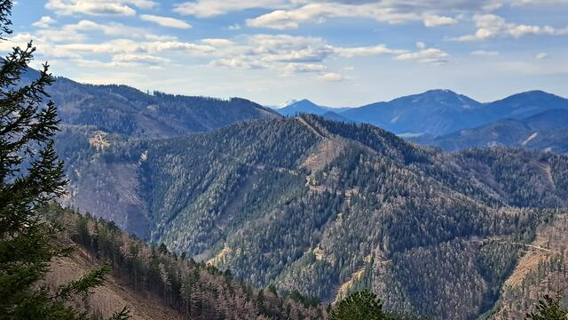 ZooOOM

 | Foto: Walter Fuchs