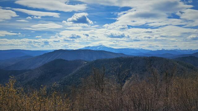 Der Schneeberg !

 | Foto: Walter Fuchs