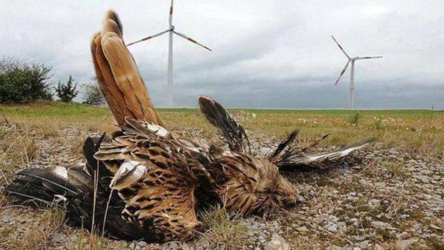 Bild ohne Worte | Foto: pixabay CC=0