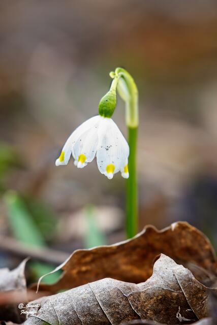 ......och,ich fühle mich alleine auch wohl ....