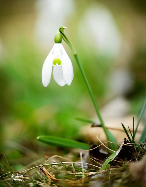 ......da freut man sich drüber .....