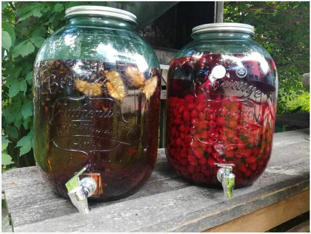 Selbst angesetzt

 | Foto: Bild von der Webseite Enzianhütte