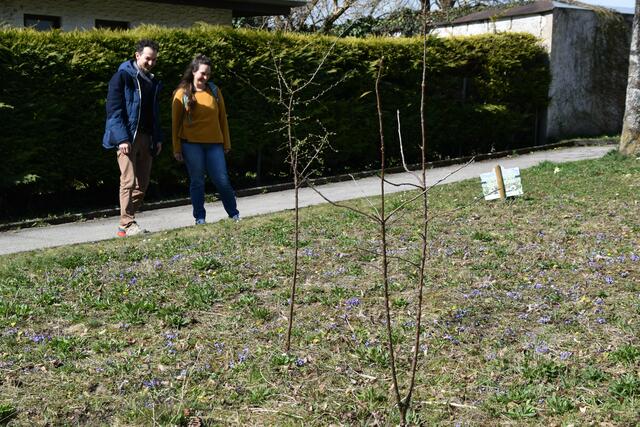 Stadtrat Joseph Hofmarcher und Umweltgemeinderätin Alice Obermann von der BürgerInnenliste für Umwelt und Gemeinwohl in Scheibbs setzen sich für mehr Blühwiesen im öffentlichen Raum ein. | Foto: Roland Mayr