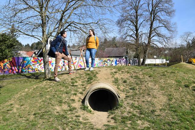 Joseph Hofmarcher und Alice Obermann im Scheibbser Töpperpark: Hier fühlen sich die Wildbienen wohl, weil sie offene Bodenflächen benötigen. | Foto: Roland Mayr