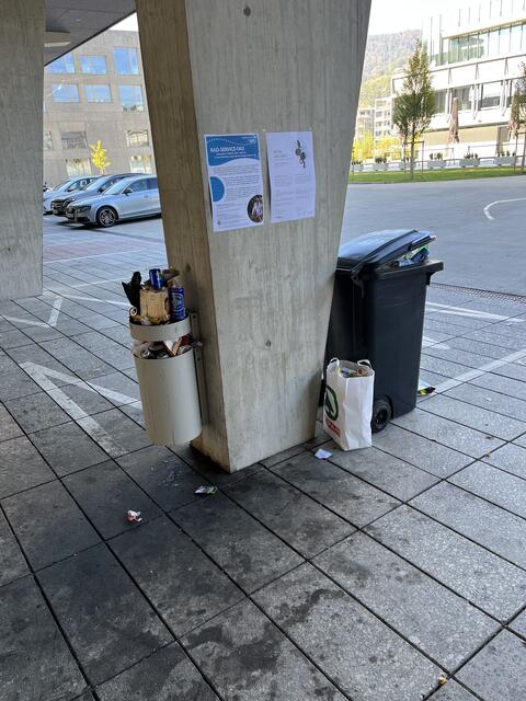 Überfüllte Mistkübel und Müll am Boden vor dem Eingangsbereich zur Smart City.  | Foto: Privat