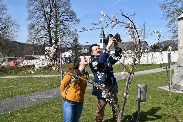 Stadtrat Joseph Hofmarcher und Umweltgemeinderätin Alice Obermann von der BürgerInnenliste für Umwelt und Gemeinwohl in Scheibbs setzen sich für mehr Blühwiesen und heimische Sträucher im öffentlichen Raum ein. | Foto: Roland Mayr