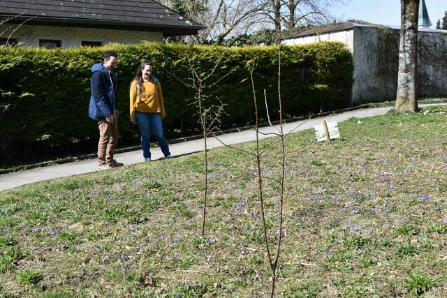 Stadtrat Joseph Hofmarcher und Umweltgemeinderätin Alice Obermann von der BürgerInnenliste für Umwelt und Gemeinwohl in Scheibbs setzen sich für mehr Blühwiesen im öffentlichen Raum ein. | Foto: Roland Mayr