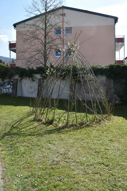 Die BürgerInnenliste für Umwelt und Gemeinwohl in Scheibbs setzt sich für mehr Blühwiesen und heimische Sträucher im öffentlichen Raum ein. | Foto: Roland Mayr