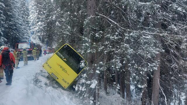 Der abgestürzte Linienbus blieb glücklicherweise an einem Baum hängen und stürzte nicht um. | Foto: ZOOM.TIROL