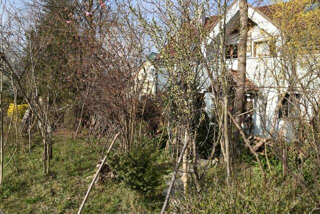 Heimische Vielfalt im Garten der Insektenforscher Renate und Hubert Rausch in Scheibbs | Foto: Roland Mayr
