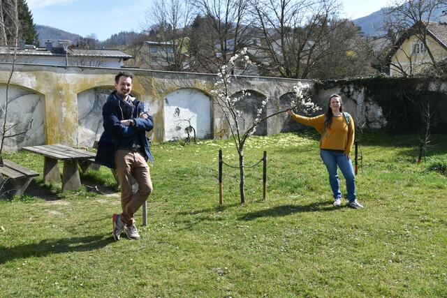 Stadtrat Joseph Hofmarcher und Umweltgemeinderätin Alice Obermann von der BürgerInnenliste für Umwelt und Gemeinwohl in Scheibbs setzen sich für mehr Blühwiesen und heimische Sträucher im öffentlichen Raum ein. | Foto: Roland Mayr