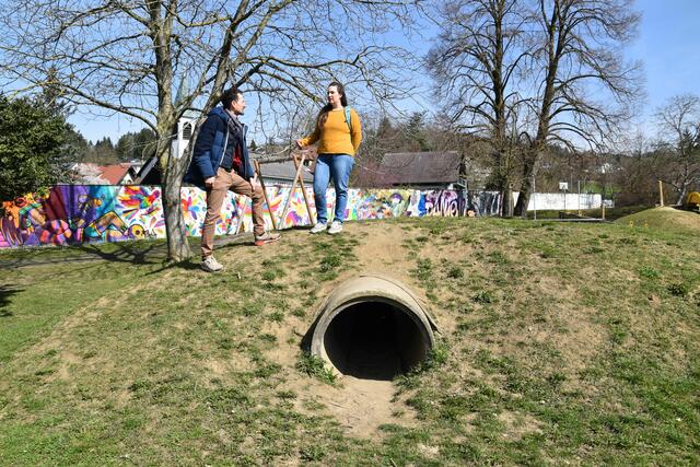 Joseph Hofmarcher und Alice Obermann im Scheibbser Töpperpark: Hier fühlen sich die Wildbienen wohl, weil sie offene Bodenflächen benötigen. | Foto: Roland Mayr