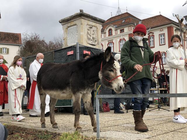 In Weiz zieht Esel "Maxl" zur Palmweihe mit ein. | Foto: Josef Hofmüller
