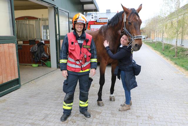 Das Pferd konnt gerettet werden. Danke an die Feuerwehren Laxenburg und Kottingbrunn | Foto: Presseteam FF Laxenburg