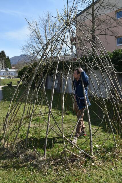 Die BürgerInnenliste für Umwelt und Gemeinwohl in Scheibbs setzt sich für mehr Blühwiesen und heimische Sträucher im öffentlichen Raum ein. | Foto: Roland Mayr