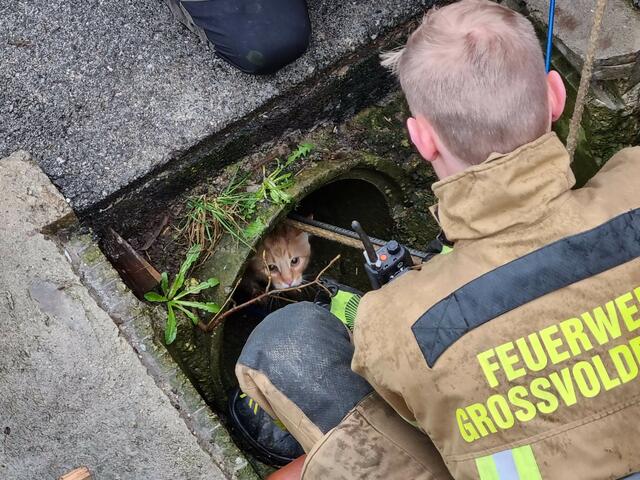Nach mehreren Bergungsversuchen gelang es den Helfern schließlich, die Katze zu befreien. | Foto: ZOOM.TIROL