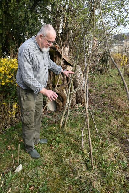 Heimische Vielfalt im Garten der Insektenforscher Renate und Hubert Rausch in Scheibbs | Foto: Roland Mayr