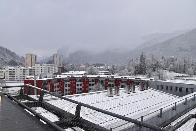 Foto: Barbara Fluckinger