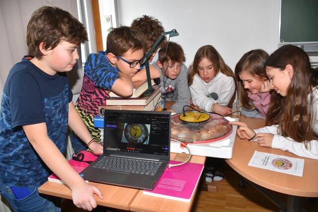  Unter ständiger Beobachtung via Live-Stream wurden Küken in der Mittelschule Pabneukirchen ausgebrütet. | Foto: Zinterhof