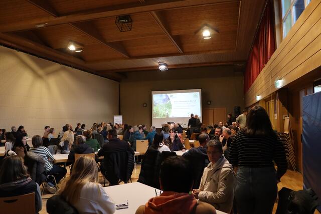 Reges Interesse an den konzipierten Projekten. | Foto: Elisabeth Neuner