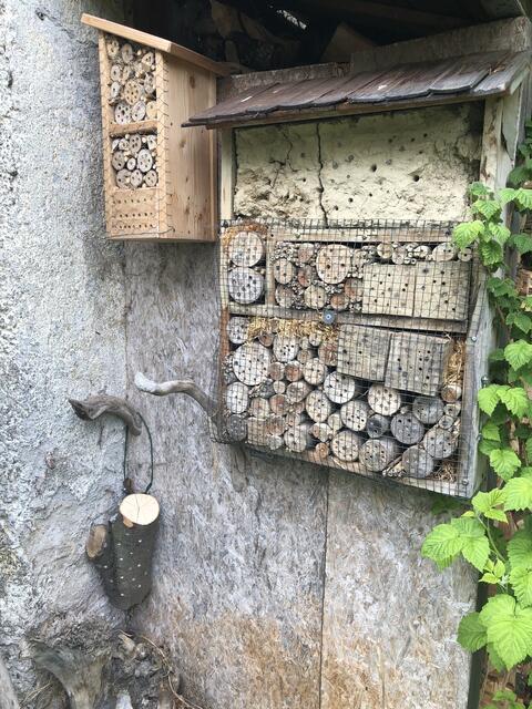 Insektenhotels können in der Größe variieren. Am besten befestigt man sie an einem sonnigen Ort, wo sie nicht angeregnet werden. | Foto: sm