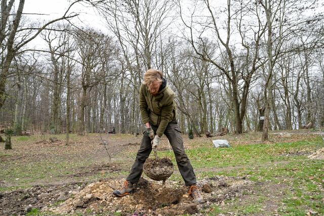 Foto: Klosterwald/Johannes Wiedl